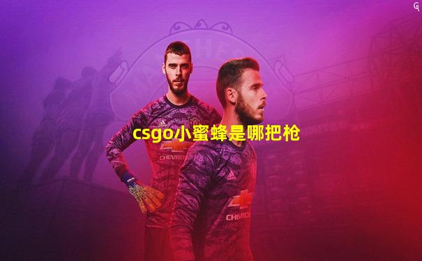 csgo小蜜蜂是哪把枪