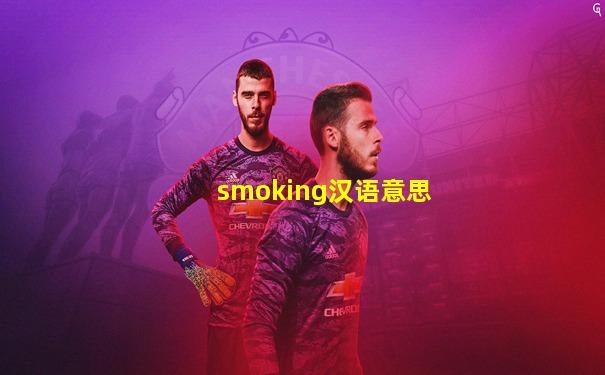 smoking汉语意思