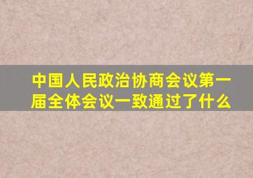中国人民政治协商会议第一届全体会议一致通过了什么