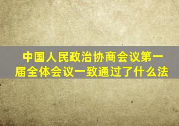 中国人民政治协商会议第一届全体会议一致通过了什么法