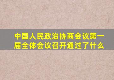 中国人民政治协商会议第一届全体会议召开通过了什么