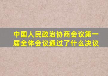 中国人民政治协商会议第一届全体会议通过了什么决议