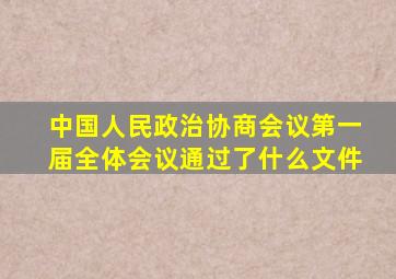 中国人民政治协商会议第一届全体会议通过了什么文件