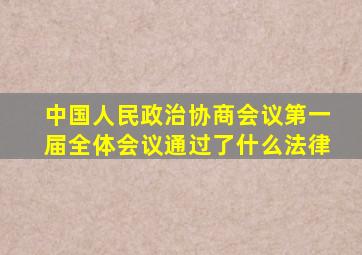 中国人民政治协商会议第一届全体会议通过了什么法律
