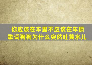 你应该在车里不应该在车顶歌词狗狗为什么突然吐黄水儿