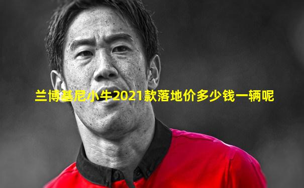 兰博基尼小牛2021款落地价多少钱一辆呢