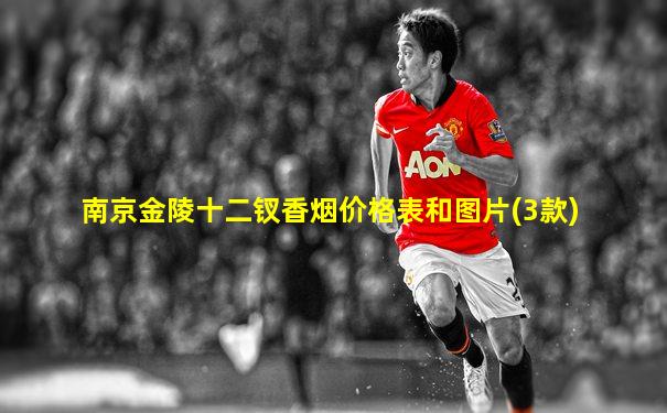 南京金陵十二钗香烟价格表和图片(3款)