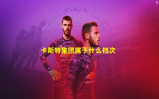 卡斯特集团属于什么档次