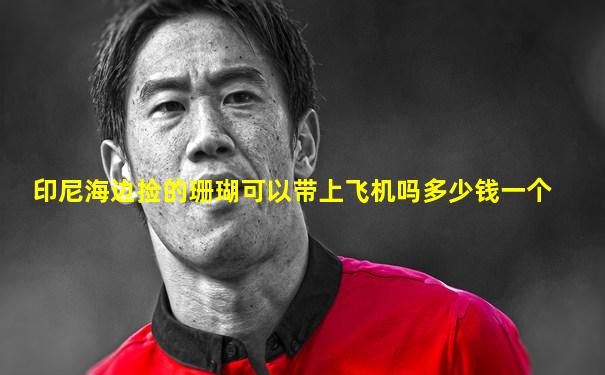 印尼海边捡的珊瑚可以带上飞机吗多少钱一个