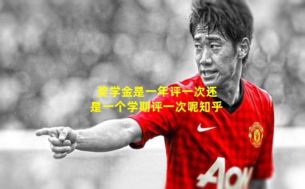 奖学金是一年评一次还是一个学期评一次呢知乎