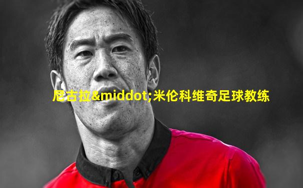 尼古拉·米伦科维奇足球教练