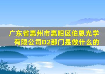 广东省惠州市惠阳区伯恩光学有限公司D2部门是做什么的