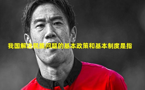 我国解决民族问题的基本政策和基本制度是指