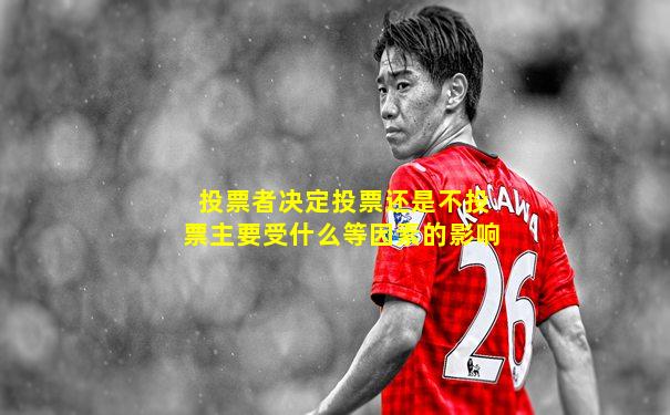 投票者决定投票还是不投票主要受什么等因素的影响
