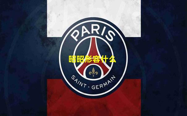昭昭形容什么