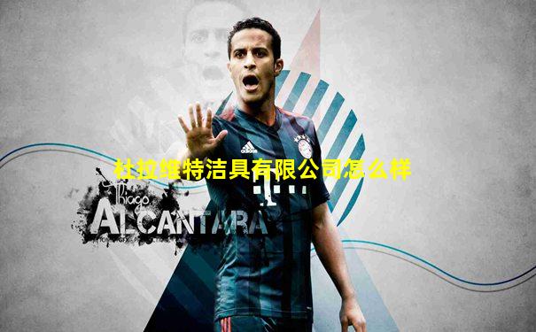 杜拉维特洁具有限公司怎么样