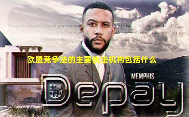 欧盟竞争法的主要执法机构包括什么