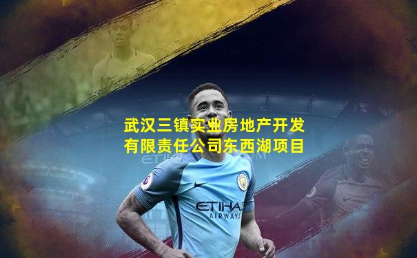 武汉三镇实业房地产开发有限责任公司东西湖项目