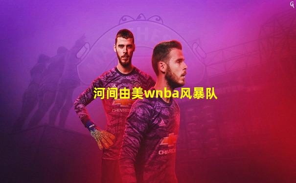 河间由美wnba风暴队