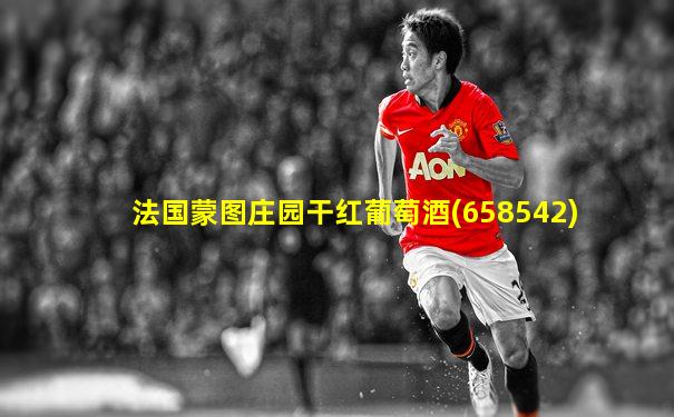 法国蒙图庄园干红葡萄酒(658542)