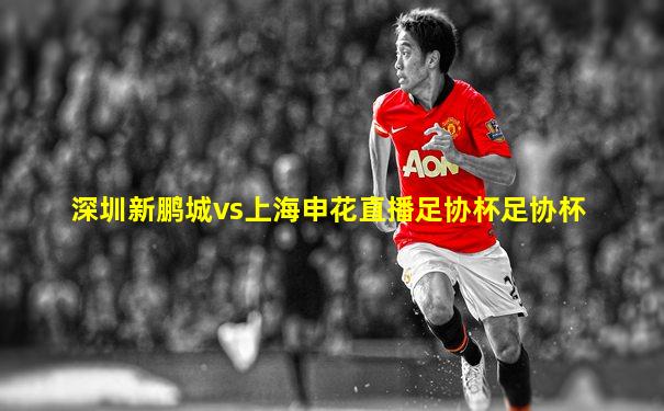 深圳新鹏城vs上海申花直播足协杯足协杯