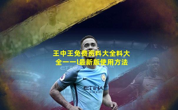 王中王免费资料大全料大全一一l最新版使用方法