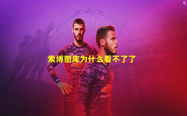 索博图库为什么看不了了