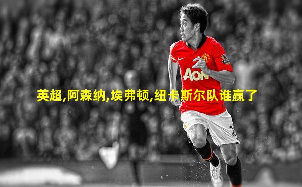 英超,阿森纳,埃弗顿,纽卡斯尔队谁赢了