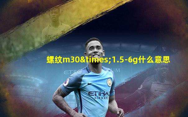 螺纹m30×1.5-6g什么意思