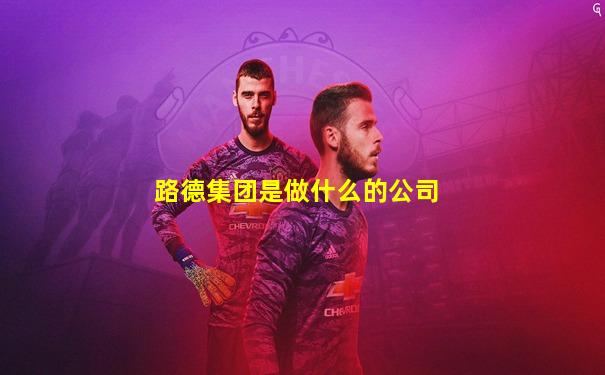 路德集团是做什么的公司