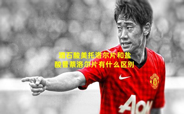 酒石酸美托洛尔片和盐酸普萘洛尔片有什么区别