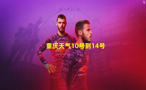 重庆天气10号到14号