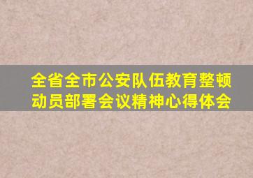 全省全市公安队伍教育整顿动员部署会议精神心得体会