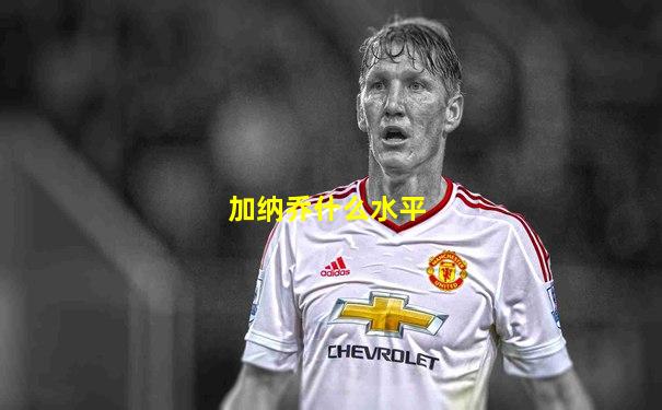 加纳乔什么水平