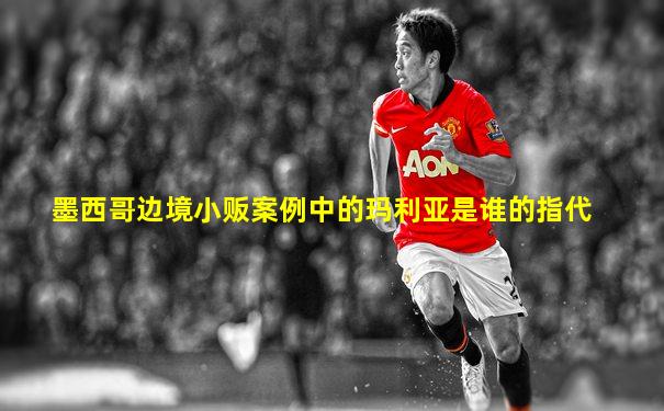 墨西哥边境小贩案例中的玛利亚是谁的指代