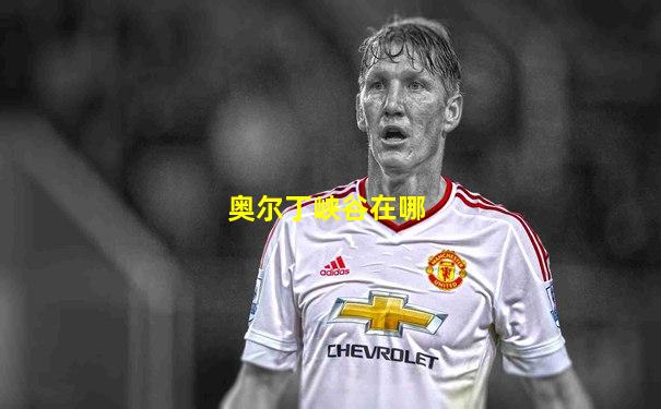 奥尔丁峡谷在哪