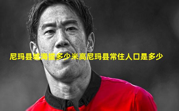 尼玛县城海拔多少米高尼玛县常住人口是多少