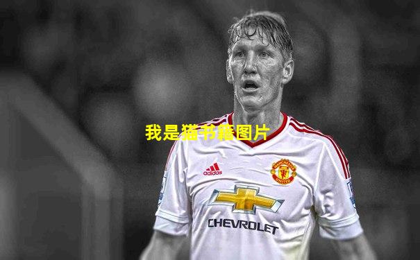 我是猫书籍图片