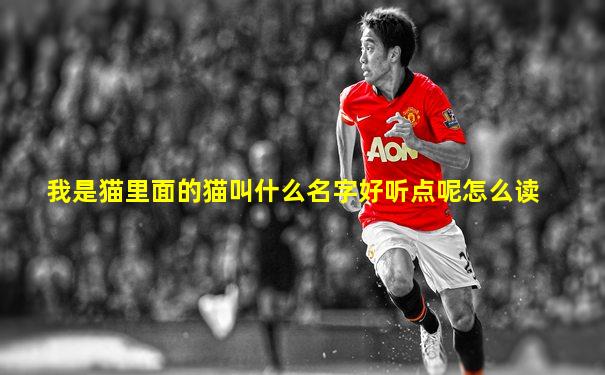 我是猫里面的猫叫什么名字好听点呢怎么读