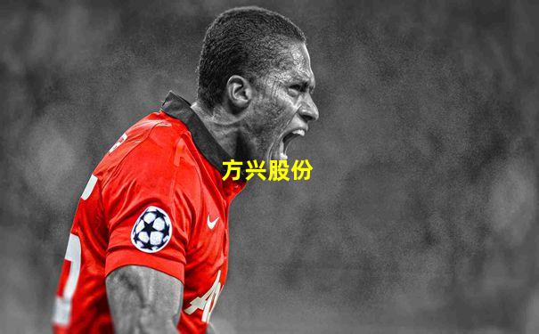 方兴股份