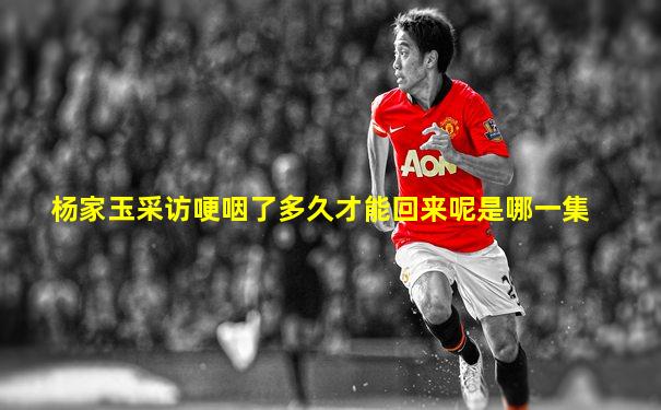 杨家玉采访哽咽了多久才能回来呢是哪一集