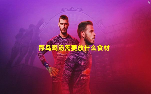 熬鸟鸡汤需要放什么食材