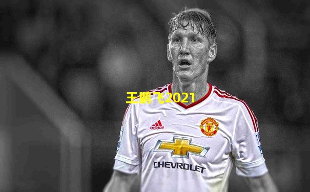 王鹏飞2021