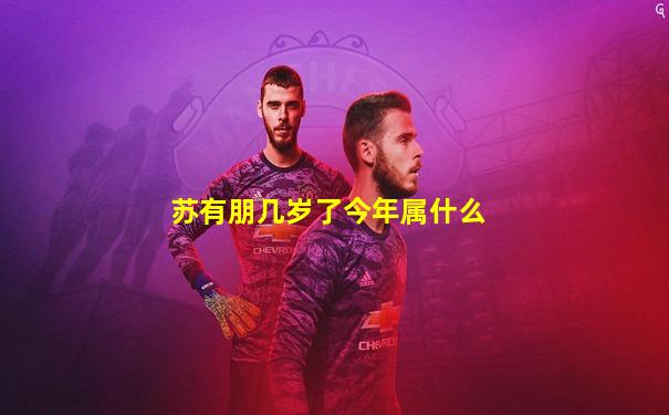 苏有朋几岁了今年属什么