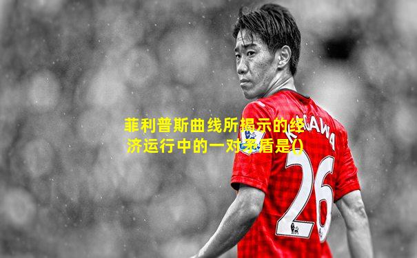 菲利普斯曲线所揭示的经济运行中的一对矛盾是()