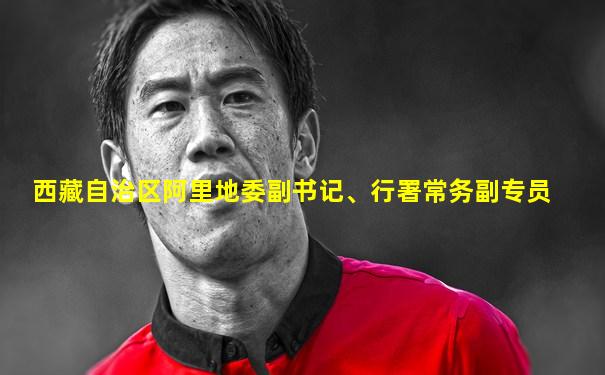西藏自治区阿里地委副书记、行署常务副专员