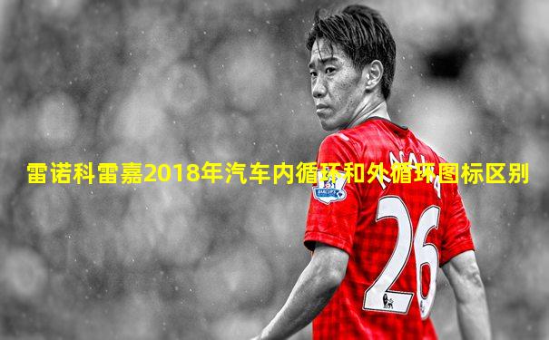 雷诺科雷嘉2018年汽车内循环和外循环图标区别