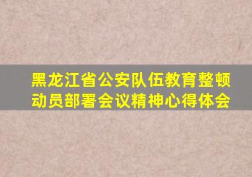 黑龙江省公安队伍教育整顿动员部署会议精神心得体会